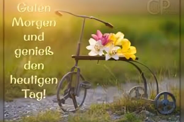 guten morgen