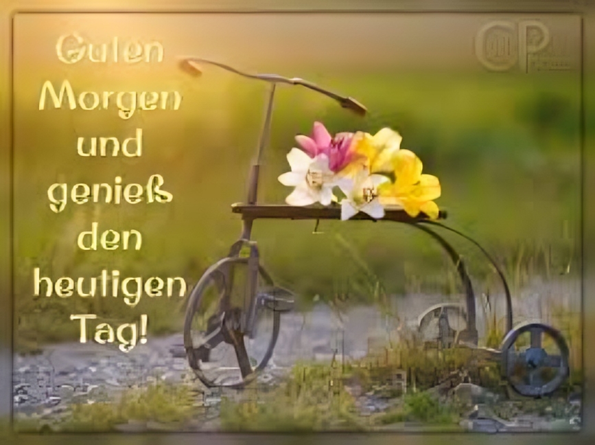 guten morgen